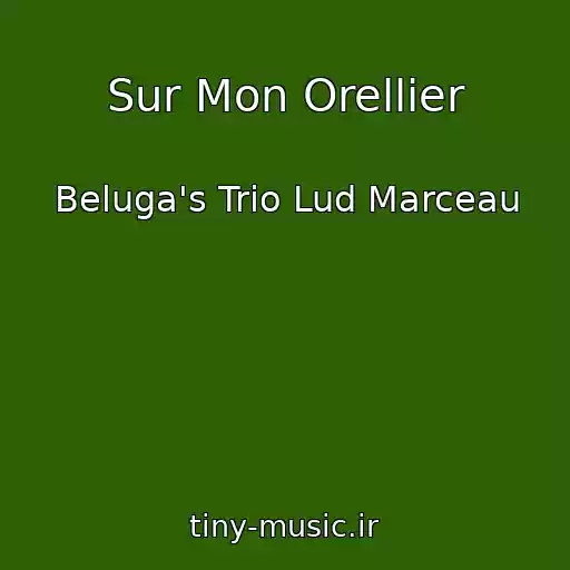 کاور آهنگ Sur Mon Orellier از Beluga's Trio Lud Marceau