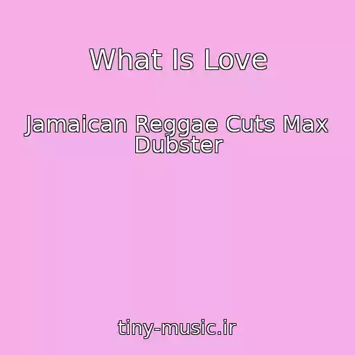 کاور آهنگ What Is Love از Jamaican Reggae Cuts Max Dubster