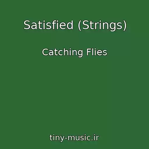 کاور آهنگ Satisfied (Strings) از Catching Flies
