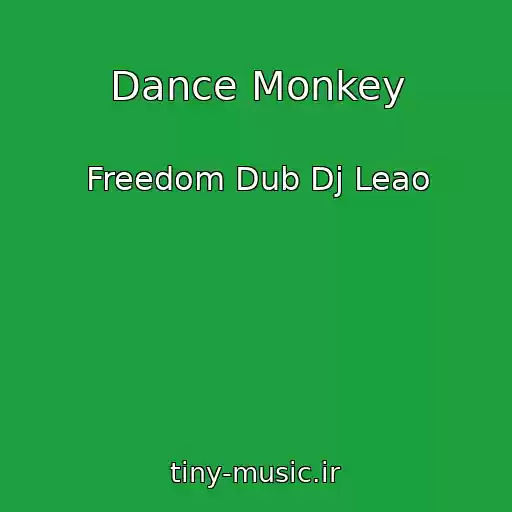 کاور آهنگ Dance Monkey از Freedom Dub Dj Leao