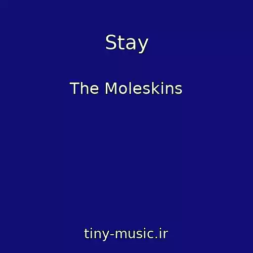کاور آهنگ Stay از The Moleskins